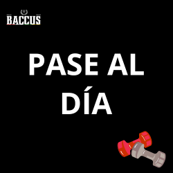 Pase de día